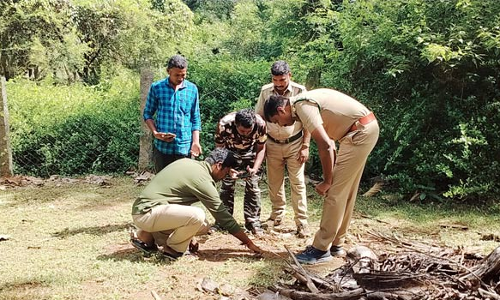 ஆழியாரில்  சிறுத்தை நடமாட்டத்தை கண்காணிக்க காமிரா பொருத்தம்