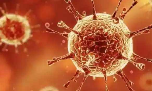 33 பேருக்கு பாதிப்பு சேலத்தில் விரைவில் கொரோனா கட்டுப்பாட்டு மையம் திறப்பு