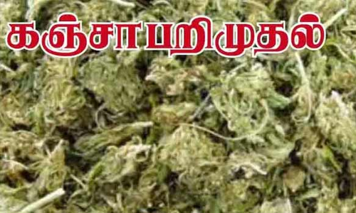 5 கிலோ கஞ்சாவுடன் கேரள வாலிபர் கைது