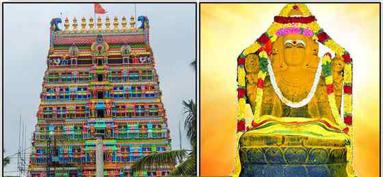 பிரம்மபுரீஸ்வரர் கோவிலில் வருடாபிஷேகம்