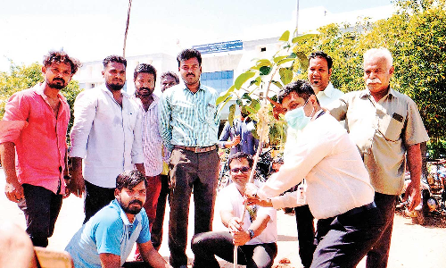 மரக்கன்று நடும் விழா