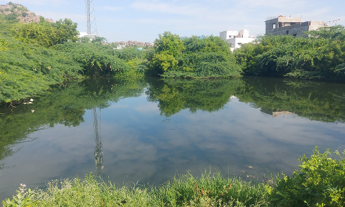 தியாகதுருகத்தில் குடியிருப்புகளுக்கு மத்தியில் குளமாக தேங்கிய கழிவு நீர்