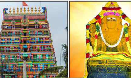 பிரம்மபுரீஸ்வரர் கோவிலில் வருடாபிஷேகம்