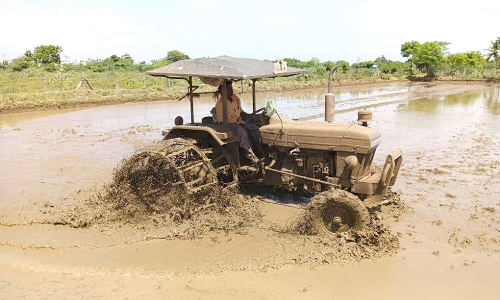 குறுவை நடவு முடியும் வரை ஆறுகளில் முழு அளவு தண்ணீர் திறக்க வேண்டும்-விவசாயிகள் கோரிக்கை
