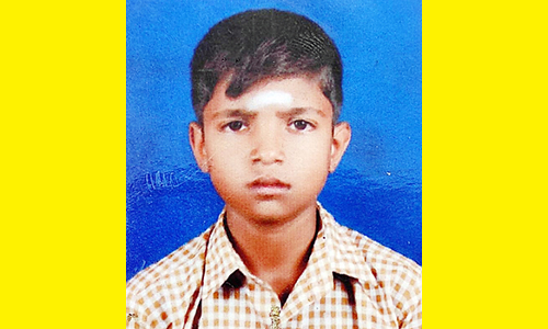 விஷ பூச்சி கடித்து பள்ளி மாணவன் சாவு