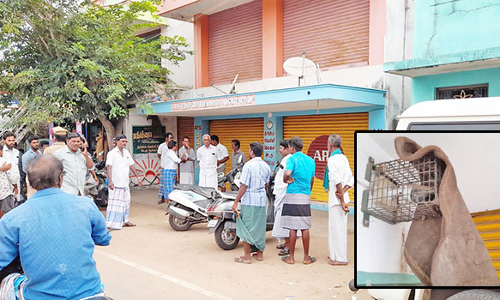 அடகு கடைகளில் தங்கம்-வெள்ளி நகைகள் திருட்டு