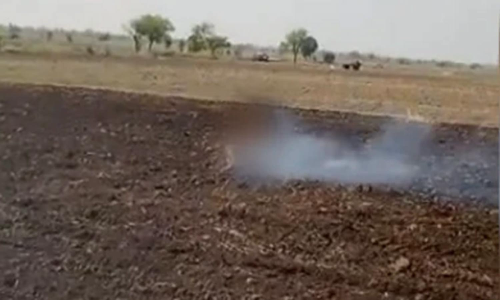 நில ஆக்கிரமிப்பை தடுத்த பெண் உயிரோடு எரிப்பு- வலியால் கதறுவதை வீடியோ எடுத்த கும்பல்