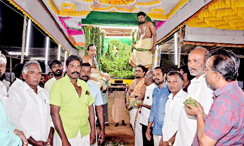ஆறுமுகநேரி  சோமநாத சுவாமி கோவிலில் பச்சை சாத்தி சப்பர பவனி