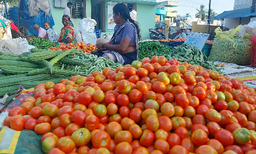 தருமபுரி மார்க்கெட்டில்   தக்காளி விலை சரிவு