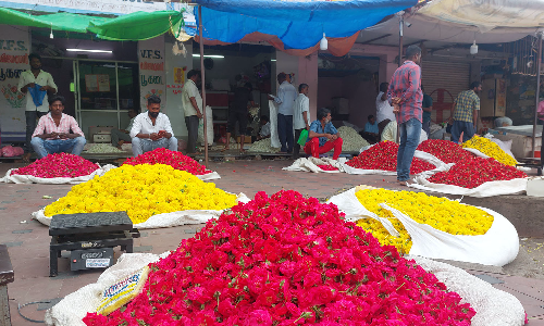 தருமபுரி மாவட்டத்தில்  10 நாட்களுக்கும் மேலாக பூக்களின் விலை கடும் சரிவு