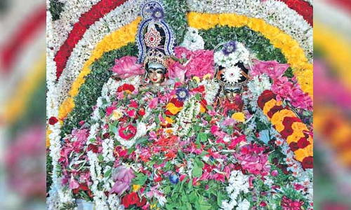 வைத்தியநாதப் பெருமாள் கோவிலில்  அம்மையப்பர் திருக்கல்யாணம்