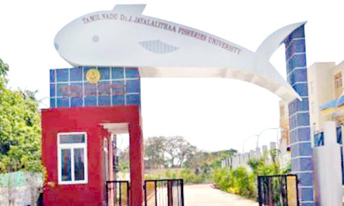 மீன்வள பொறியியல் முடித்தவர்களுக்கு வேலைவாய்ப்பு வழங்கவேண்டும்