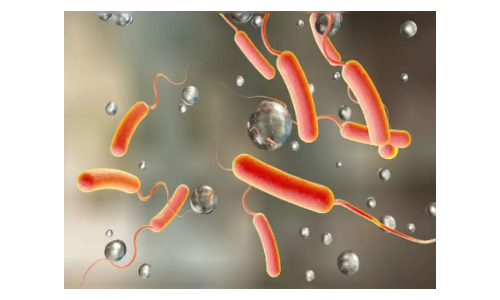 மக்களை மிரட்டும் காலரா நோய்:  கண்டறியும் அறிகுறிகள்-தடுக்கும் சிகிச்சை முறைகள்-  மருத்துவர்கள் தரும் ஆலோசனைகள்