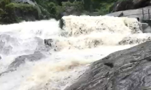 தொடர் மழையால் கோவை குற்றாலத்தில் கடும் வெள்ளப்பெருக்கு- சுற்றுலா பயணிகள் செல்ல தடை