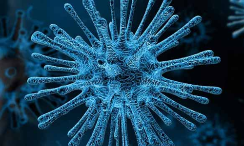 நாளுக்கு நாள் தொற்று அதிகரிப்பு- கடலூர் மாவட்டத்தில் 5 நாளில் 70 பேருக்கு கொரோனா