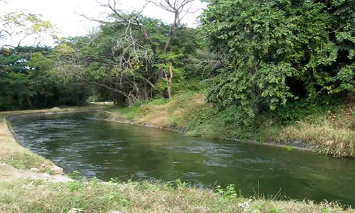 குப்பைகள் கொட்டுவதை தடுக்க பி.ஏ.பி. கால்வாயில்  கம்பி வேலி அமைக்கும் திட்டம் செயல்படுத்தப்படுமா?