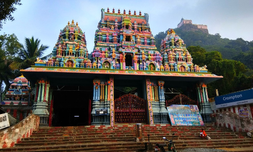 திருக்கழுக்குன்றம் வேதகிரீஸ்வரர் கோவிலில் திருமஞ்சன உற்சவம்