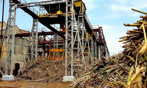 அமராவதி சர்க்கரை ஆலை நவீனமயம் - முதல்வரிடம் நேரில் மனு அளிக்க முடிவு