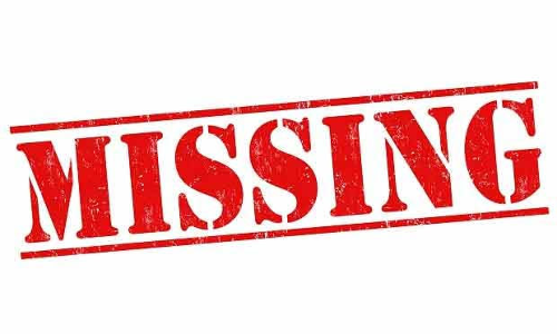 கடை வீதிக்கு ெசன்ற பெண் மாயம்