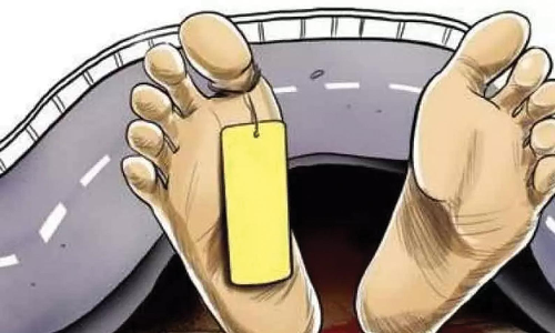 மூதாட்டி திடீர் சாவு