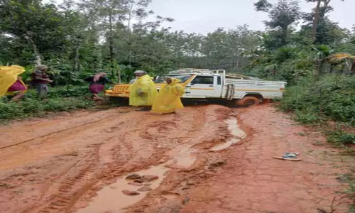 ஓவேலியில் மழை: சாலை வசதி இல்லாததால் சேற்றில் சிக்கிய வாகனங்கள்- பொதுமக்கள்-வாகன ஓட்டிகள் அவதி