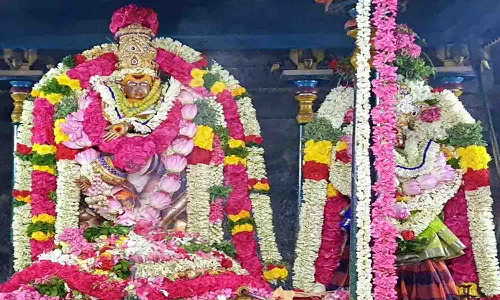 அவினாசி கோவிலில் ஆனி திருமஞ்சன விழா