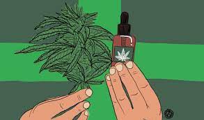 சென்னைக்கு கடத்திய 33 மூட்டை குட்கா பறிமுதல்