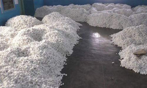 வரத்து அதிகரிப்பால்   தருமபுரியில் ரூ.25 லட்சத்துக்கு  பட்டுக்கூடுகள் விற்பனை