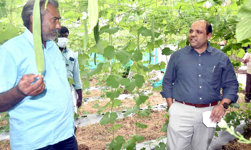 309 பயனாளிகளுக்கு ரூ.2.66 கோடி மானியம் வழங்கப்பட்டுள்ளது