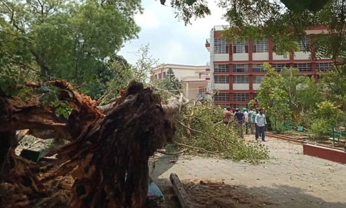 சண்டிகரில் பள்ளியில் மரம் விழுந்து மாணவர் உயிரிழப்பு