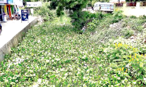 கழுமலையாற்றில் கழிவுநீர் விடப்படுவதை தடுக்க வலியுறுத்தல்