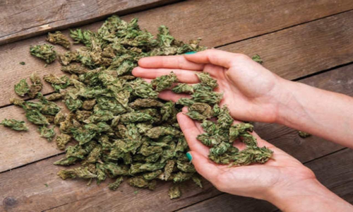 ரெயிலில் கடத்திய கஞ்சா பறிமுதல்