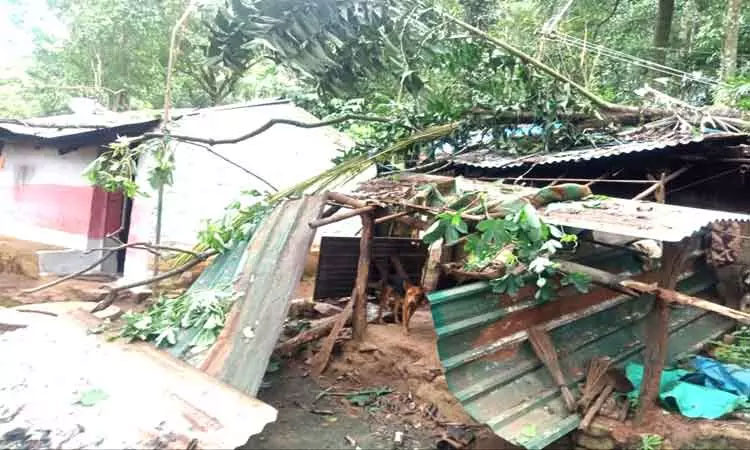 கூடலூர், கோத்தகிரியில் வீடுகளை சேதப்படுத்திய காட்டு யானைகள்- தொழிலாளர்கள் பீதி கூடலூர், கோத்தகிரியில் வீடுகளை சேதப்படுத்திய காட்டு யானைகள்- தொழிலாளர்கள் பீதி