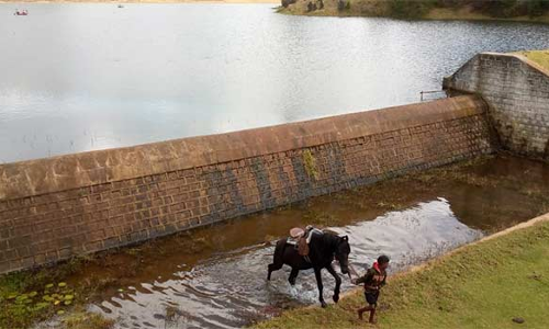 கொடைக்கானலில் தொடர் மழை எழும்பள்ளம் ஏரி முழுகொள்ளளவை எட்டியது