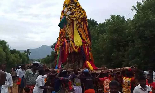 தாழைமடலாயி பிடாரி அம்மன் கோவிலில் 250 ஆண்டுகளுக்கு பிறகு தேர்த்திருவிழா