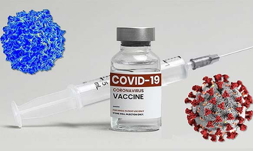 திண்டுக்கல் மாவட்டத்தில் நாளை 3,000 இடங்களில் மெகா தடுப்பூசி முகாம்