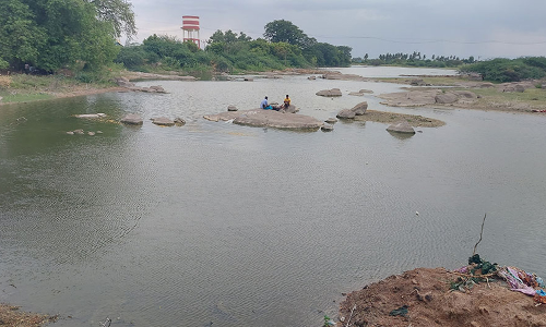தியாகதுருகத்தில் கழிவு நீர் ஏரியாக மாறிய புக்குளம் ஏரி