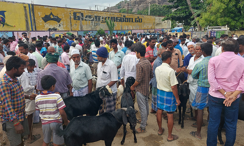 பக்ரீத் பண்டிகையையொட்டி தியாகதுருகம் வாரச் சந்தையில் ரூ.40 லட்சத்துக்கு ஆடுகள் விற்பனை
