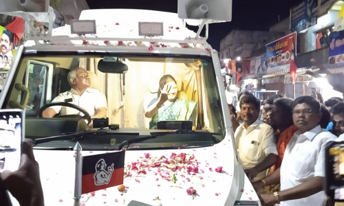 திருவெண்ணைநல்லூரில் பிரசாரம்: தி.மு.க.வினர் தொண்டர்களை வைத்து அராஜகம் செய்கின்றனர் சசிகலா பேச்சு