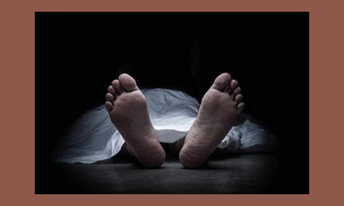 நெல்லையில் முதியோர் இல்லத்தில் தங்கி இருந்த மூதாட்டி சாவு