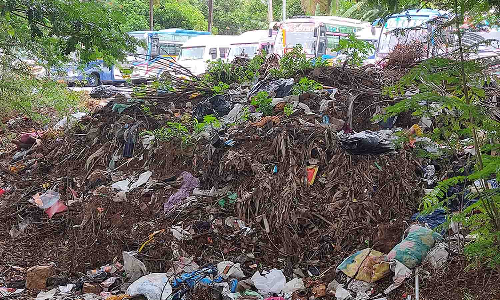 உடுமலை ஹவுசிங் யூனிட் பகுதியில் தூர்வாராத சாக்கடையால் சுகாதார சீர்கேடு