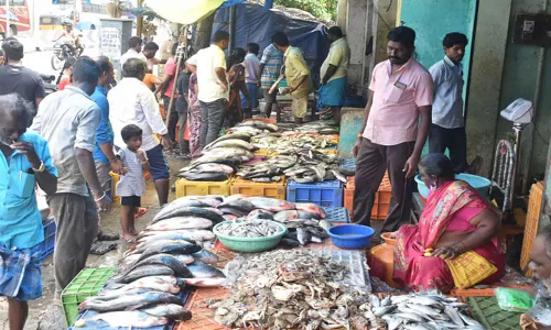ஈரோடு மார்க்கெட்டுகளில் காய்கறி- மீன்கள் விலை குறைவு