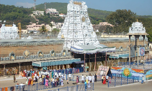 திருப்பதியில் கோ பூஜையில் தினமும் 3 ஆயிரம் பக்தர்கள் பங்கேற்பு