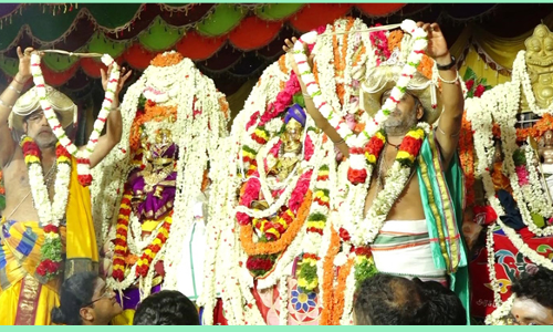 முறையூர் மீனாட்சி-சுந்தரேசுவரர் திருக்கல்யாண வைபவம்