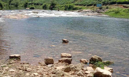 தென்மேற்கு பருவமழை தீவிரம் - குளம், குட்டைகளுக்கு நீர்வரத்து அதிகரிப்பு