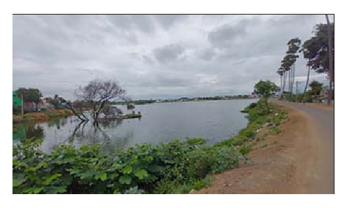 தருமபுரி பிடமனேரி ஏரியின் மீன்பாசி ஏலம்-  நாளை நடக்கிறது