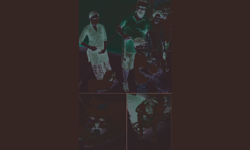 கிருஷ்ணகிரியில் நடந்த நாய் கண்காட்சியில்   சிப்பிப்பாறை, பப்பி, ஜெர்மன் ஷெபர்டு   நாய்கள் சாம்பியன் பட்டத்தை வென்றன