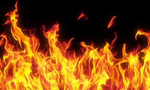 கோவையில் பிரியாணி சமைத்த போது விபத்து- பெண் உடல் கருகினார்