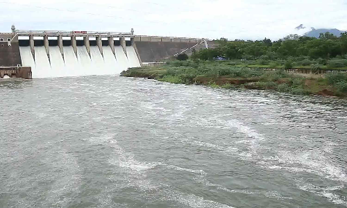 கீழ்பவானி பாசனத்திற்கு ஆகஸ்ட் 1-ந் தேதி தண்ணீர் திறக்க வேண்டும்