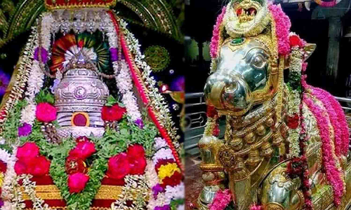 வெள்ளகோவில் சோழீஸ்வரர் கோவிலில் பிரதோஷ வழிபாடு